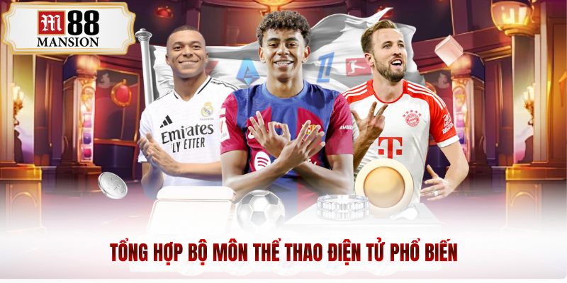 Tổng hợp bộ môn thể thao điện tử phổ biến