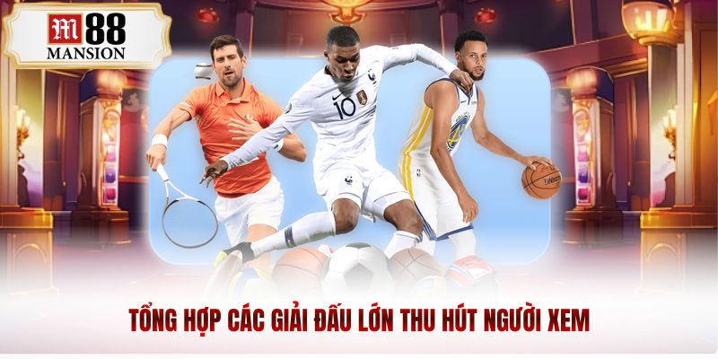 Tổng hợp các giải đấu lớn thu hút người xem